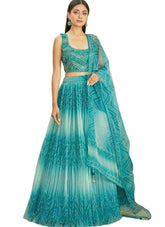 Embroidered Organza Lehenga in Blue